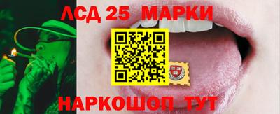 гидра Тверь