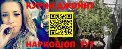 гидра Тверь