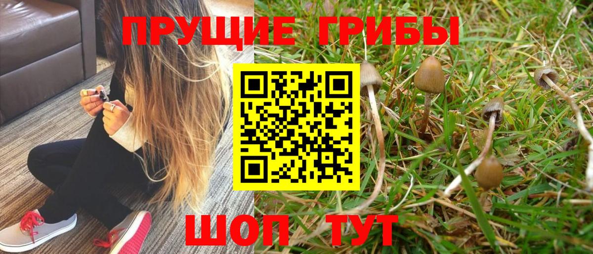 Псилоцибиновые грибы Magic Shrooms  Вход с VPN  Нижнекамск  Псилоцибиновые грибы Magic Shrooms 