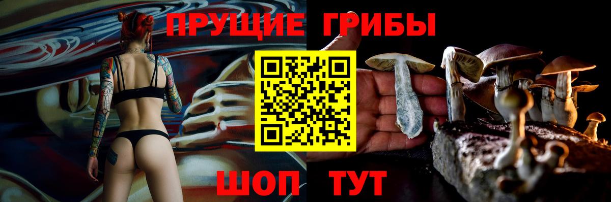 Галлюциногенные грибы мицелий Нижнекамск